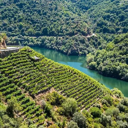 Ribeira Sacra